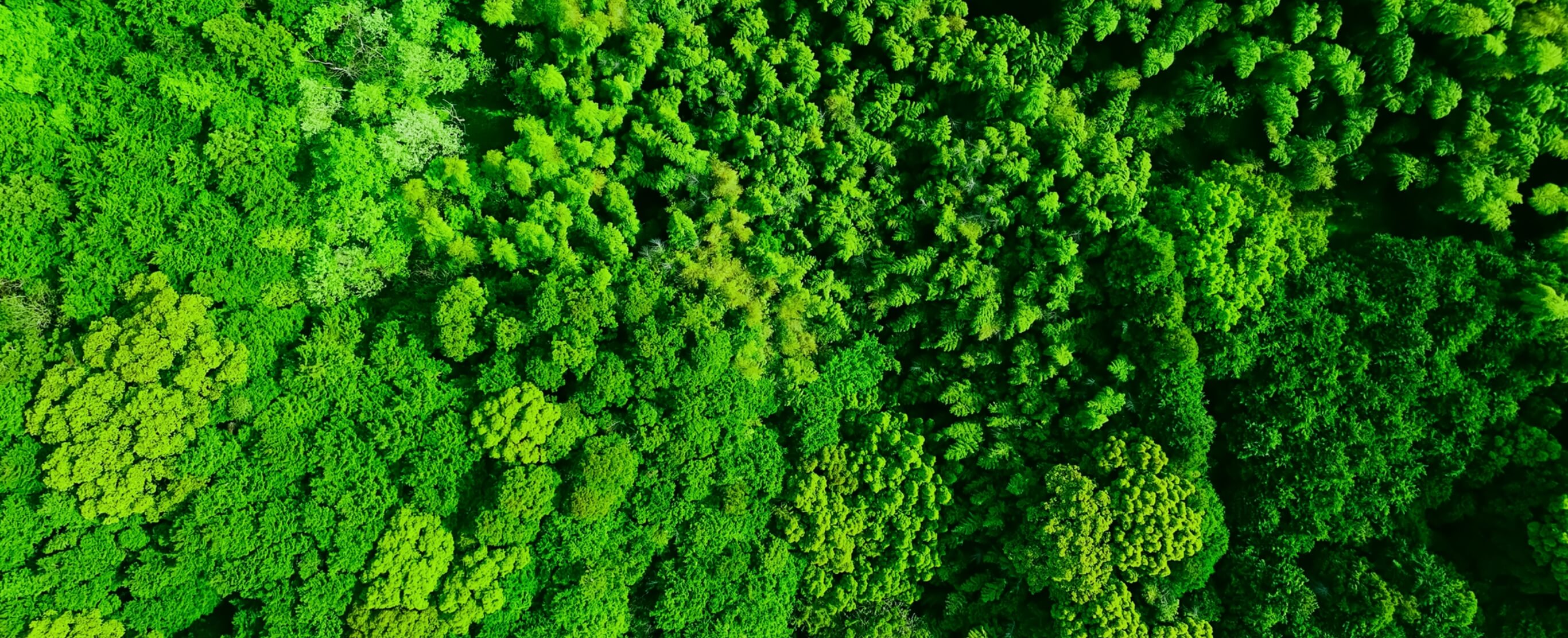 サスティナビリティ基本方針